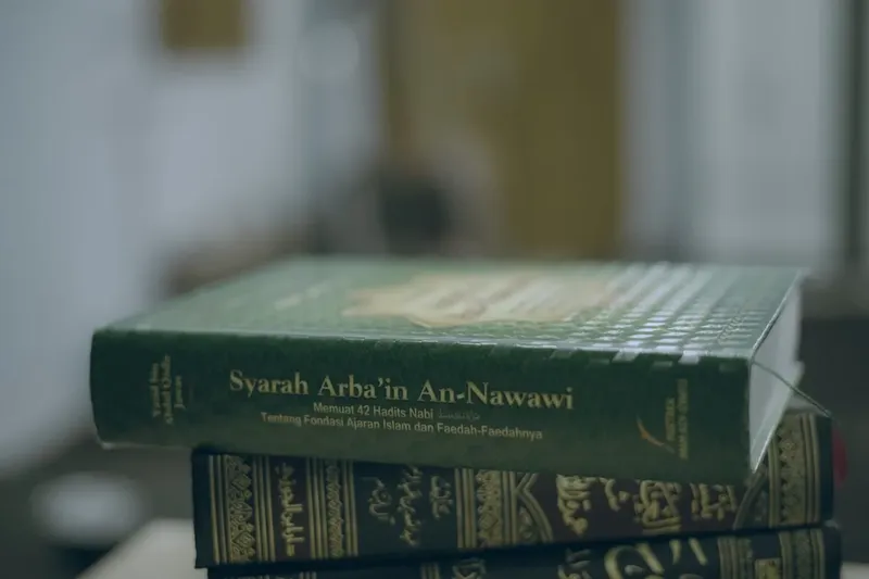 Controversele legate de declarațiile Melaniei Trump în cazul Epstein