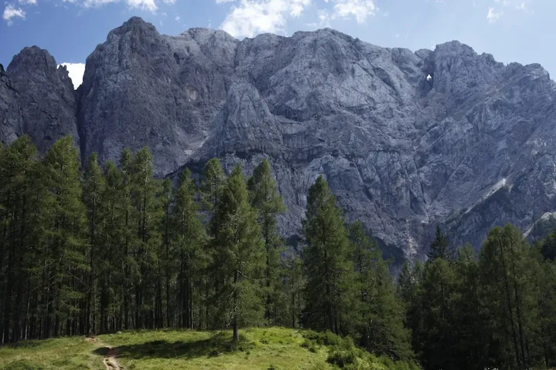 Riscurile dependenței de servicii de cloud americane în Europa