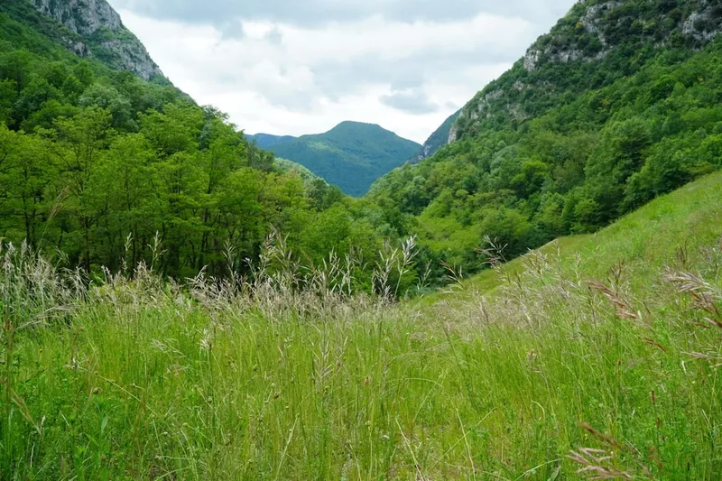 Evoluția ADN-ului Euroasiaticilor