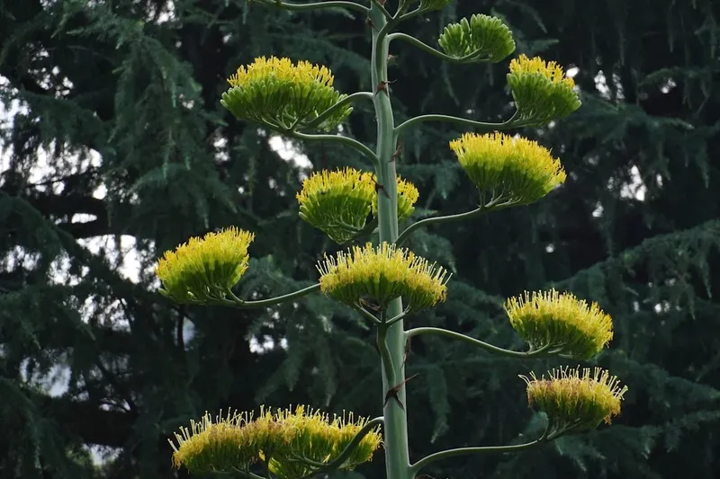 Provocările industriei cluburilor de noapte în Londra