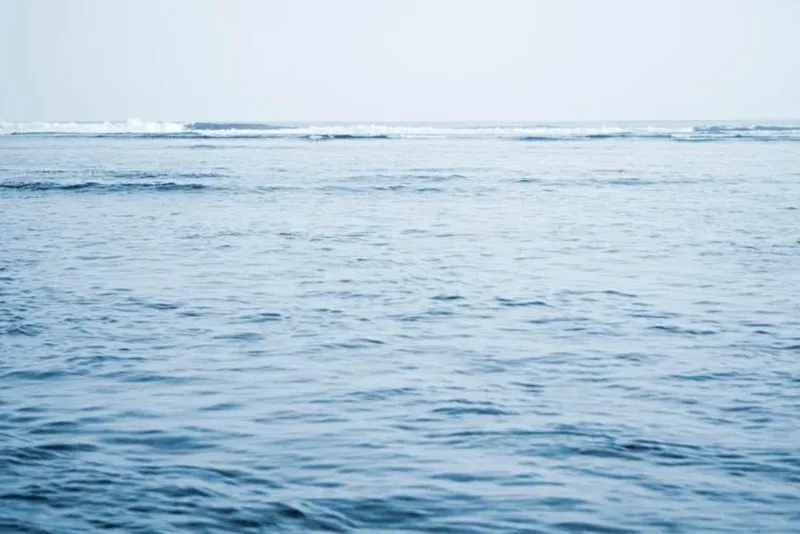 Oceanele ajung aproape de recorduri de căldură