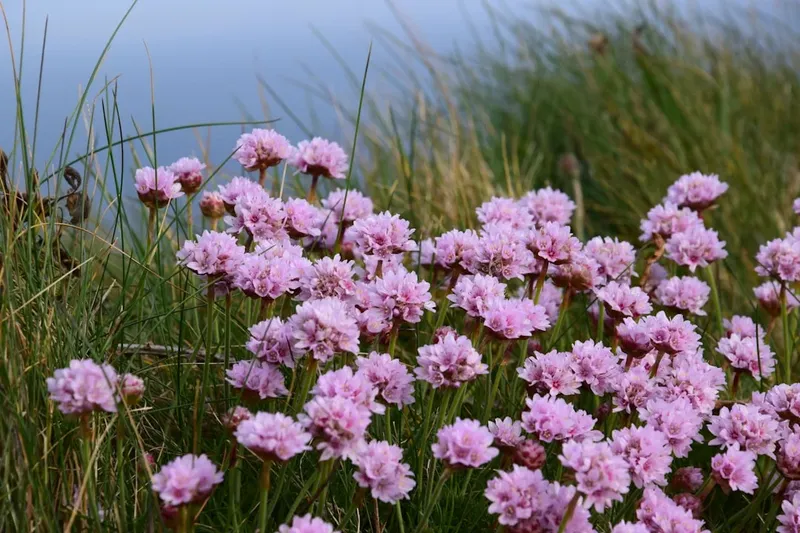 Armistițiul de Paște și perspectivele de negociere între Rusia și Ucraina