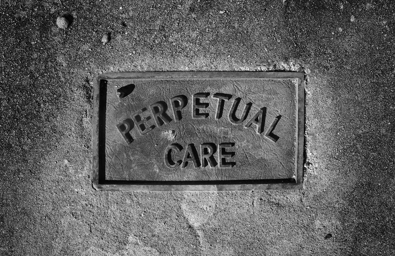 De ce nu uităm niciodată cum se merge pe bicicletă