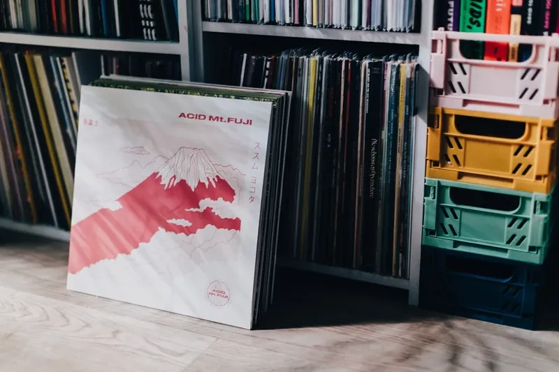 Campania Electorală din Ungaria